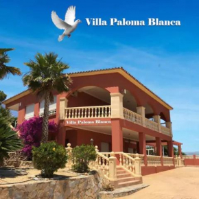 Villa Paloma Blanca